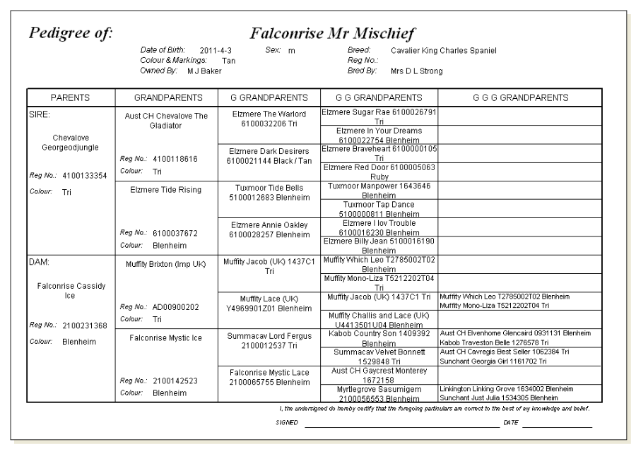 Loki’s Pedigree